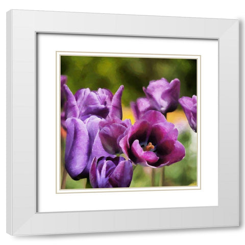 Purple Tulips White Modern Wood Framed Art Print with Double Matting by Medeiros, Celito