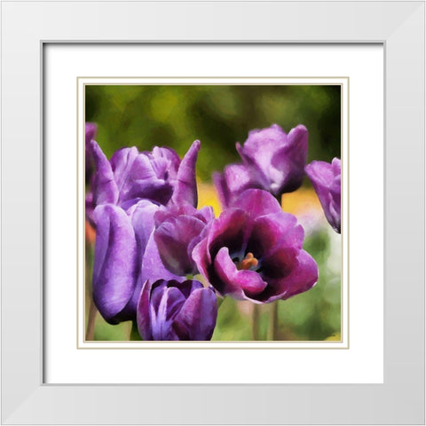 Purple Tulips White Modern Wood Framed Art Print with Double Matting by Medeiros, Celito