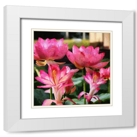 Pink Water Lillies White Modern Wood Framed Art Print with Double Matting by Medeiros, Celito
