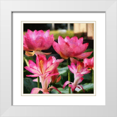 Pink Water Lillies White Modern Wood Framed Art Print with Double Matting by Medeiros, Celito