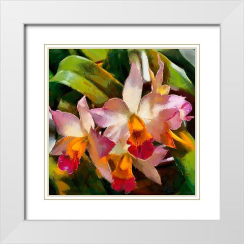 Tropical Flowers White Modern Wood Framed Art Print with Double Matting by Medeiros, Celito