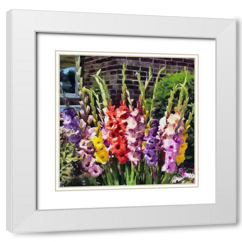 Gladiolus White Modern Wood Framed Art Print with Double Matting by Medeiros, Celito
