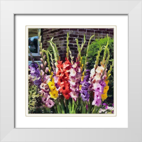 Gladiolus White Modern Wood Framed Art Print with Double Matting by Medeiros, Celito