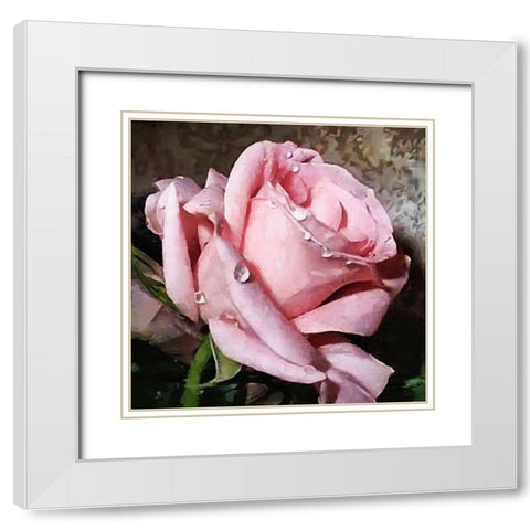 The Pink Rose White Modern Wood Framed Art Print with Double Matting by Medeiros, Celito