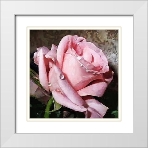 The Pink Rose White Modern Wood Framed Art Print with Double Matting by Medeiros, Celito