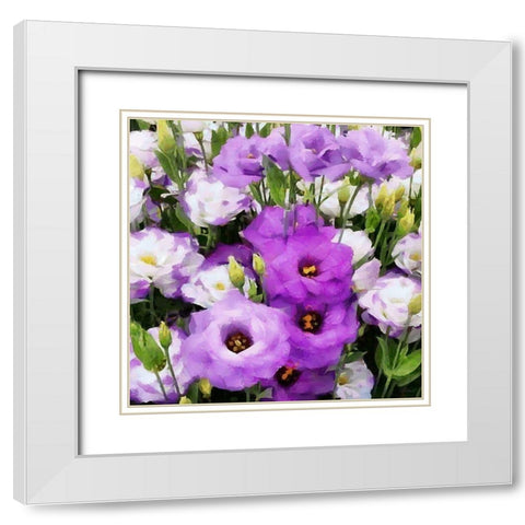 White and Purple Flowers White Modern Wood Framed Art Print with Double Matting by Medeiros, Celito