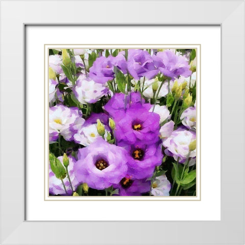 White and Purple Flowers White Modern Wood Framed Art Print with Double Matting by Medeiros, Celito