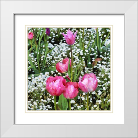 Pink Tulips in Garden White Modern Wood Framed Art Print with Double Matting by Medeiros, Celito