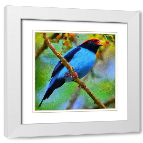 Blue Bird sing a Song White Modern Wood Framed Art Print with Double Matting by Medeiros, Celito