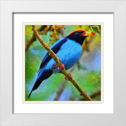 Blue Bird sing a Song White Modern Wood Framed Art Print with Double Matting by Medeiros, Celito