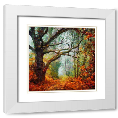 Autumn Tree White Modern Wood Framed Art Print with Double Matting by Medeiros, Celito