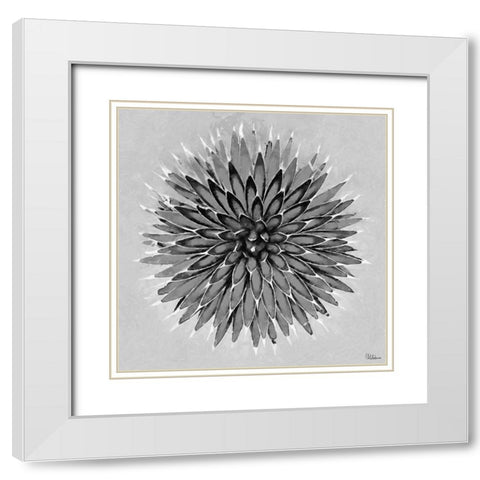 Leaves BW3 White Modern Wood Framed Art Print with Double Matting by Medeiros, Celito