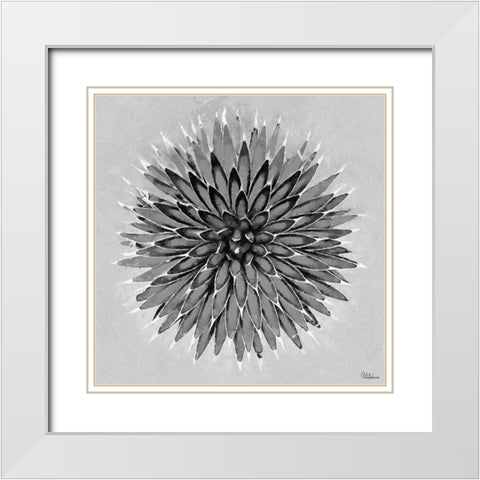 Leaves BW3 White Modern Wood Framed Art Print with Double Matting by Medeiros, Celito