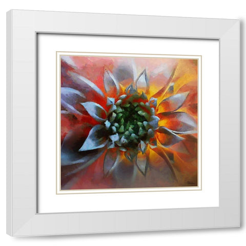 Flower in Red White Modern Wood Framed Art Print with Double Matting by Medeiros, Celito
