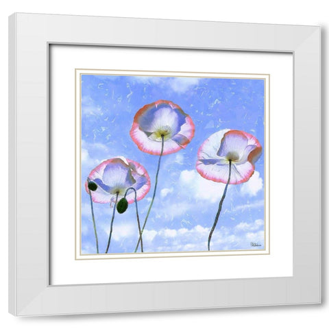 Three Poppies II White Modern Wood Framed Art Print with Double Matting by Medeiros, Celito