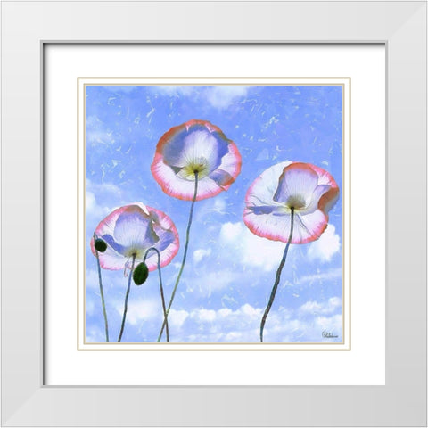 Three Poppies II White Modern Wood Framed Art Print with Double Matting by Medeiros, Celito