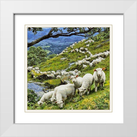 Sheeps on New Zealand White Modern Wood Framed Art Print with Double Matting by Medeiros, Celito