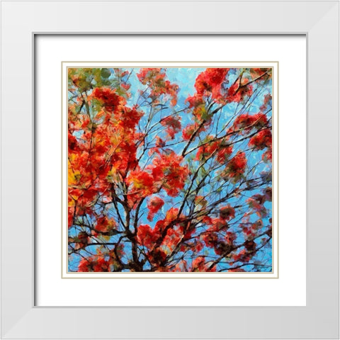 Red Flowering Tree II White Modern Wood Framed Art Print with Double Matting by Medeiros, Celito