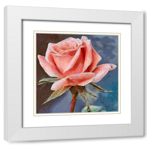 Single Rose White Modern Wood Framed Art Print with Double Matting by Medeiros, Celito