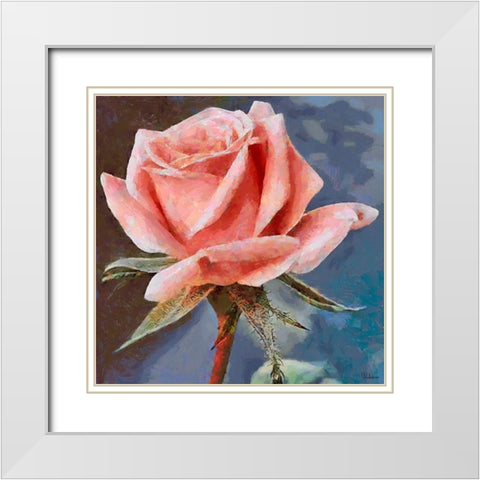 Single Rose White Modern Wood Framed Art Print with Double Matting by Medeiros, Celito