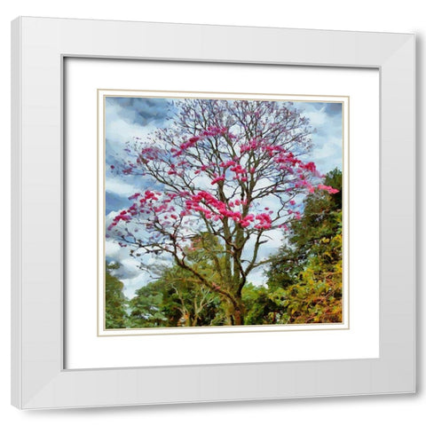 Pink Flowering Tree White Modern Wood Framed Art Print with Double Matting by Medeiros, Celito