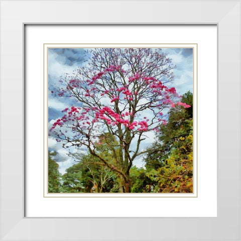 Pink Flowering Tree White Modern Wood Framed Art Print with Double Matting by Medeiros, Celito