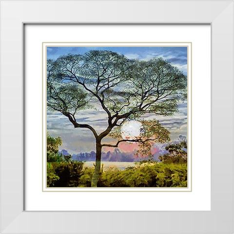 The Sunset behind the Tree White Modern Wood Framed Art Print with Double Matting by Medeiros, Celito