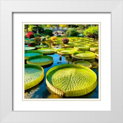 Big Green Watter Lilly White Modern Wood Framed Art Print with Double Matting by Medeiros, Celito