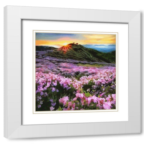 Pink Field by Sunset White Modern Wood Framed Art Print with Double Matting by Medeiros, Celito