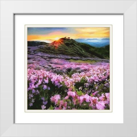 Pink Field by Sunset White Modern Wood Framed Art Print with Double Matting by Medeiros, Celito