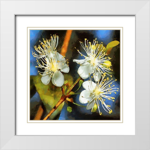 Spring Floral Variations III White Modern Wood Framed Art Print with Double Matting by Medeiros, Celito