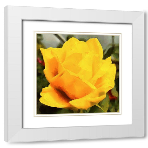 Spring Floral Variations VIII White Modern Wood Framed Art Print with Double Matting by Medeiros, Celito