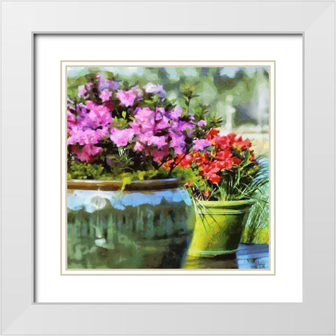 Pink and Red flowers in the Pot White Modern Wood Framed Art Print with Double Matting by Medeiros, Celito