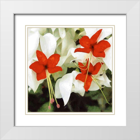 Orchids X White Modern Wood Framed Art Print with Double Matting by Medeiros, Celito