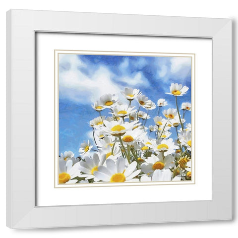 Daisies White Modern Wood Framed Art Print with Double Matting by Medeiros, Celito