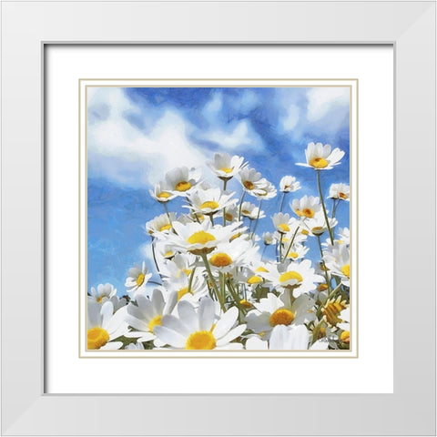 Daisies White Modern Wood Framed Art Print with Double Matting by Medeiros, Celito