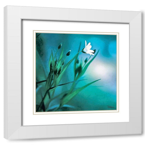 Flowers on Turquiese Background II White Modern Wood Framed Art Print with Double Matting by Medeiros, Celito