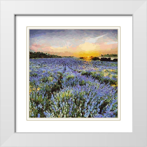 Lavender Field I White Modern Wood Framed Art Print with Double Matting by Medeiros, Celito