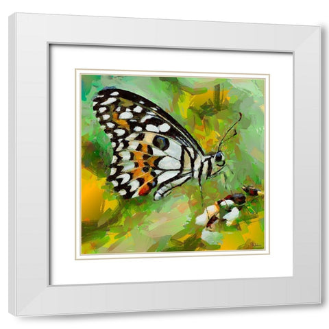 Butterfly Wings I White Modern Wood Framed Art Print with Double Matting by Medeiros, Celito