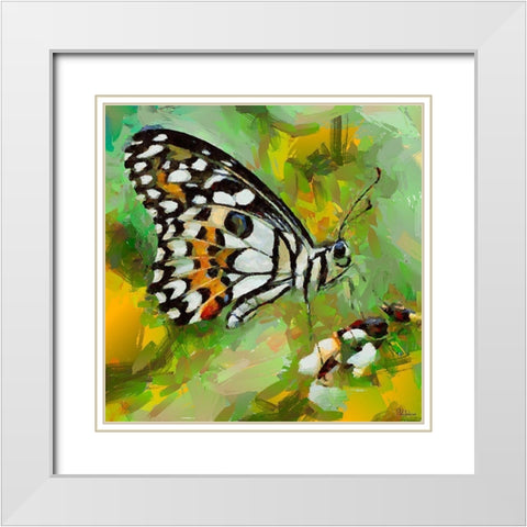 Butterfly Wings I White Modern Wood Framed Art Print with Double Matting by Medeiros, Celito