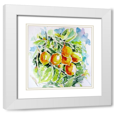 Lemons White Modern Wood Framed Art Print with Double Matting by Kovacs, Anna Brigite