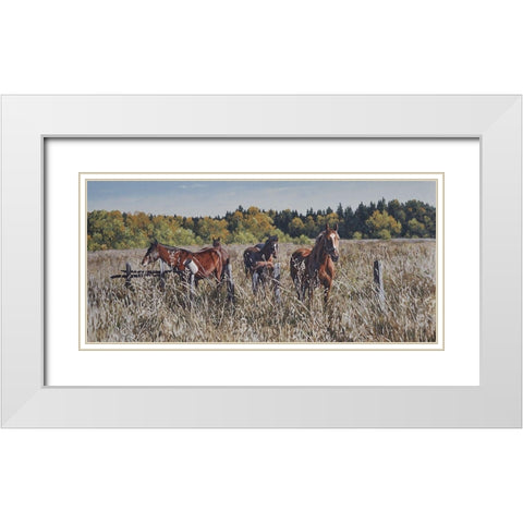 Free Run White Modern Wood Framed Art Print with Double Matting by Adamov, Alexey