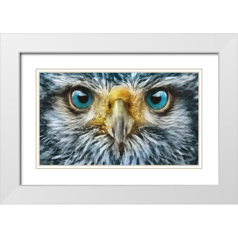 Owls Eyes II White Modern Wood Framed Art Print with Double Matting by Medeiros, Celito