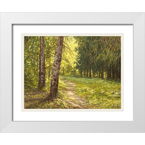 The Path to the Forest II White Modern Wood Framed Art Print with Double Matting by Adamov, Alexey