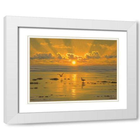Sunset over the  Sea with Seagulls III White Modern Wood Framed Art Print with Double Matting by Adamov, Alexey