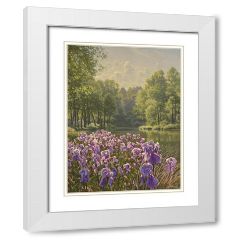 Purple Iris by the River White Modern Wood Framed Art Print with Double Matting by Adamov, Alexey