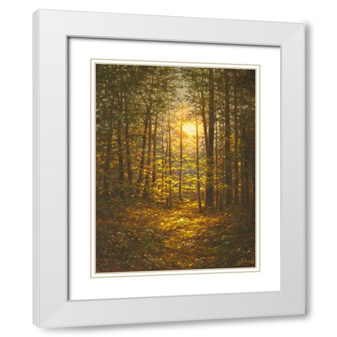 Sunbeams through the Forest White Modern Wood Framed Art Print with Double Matting by Adamov, Alexey