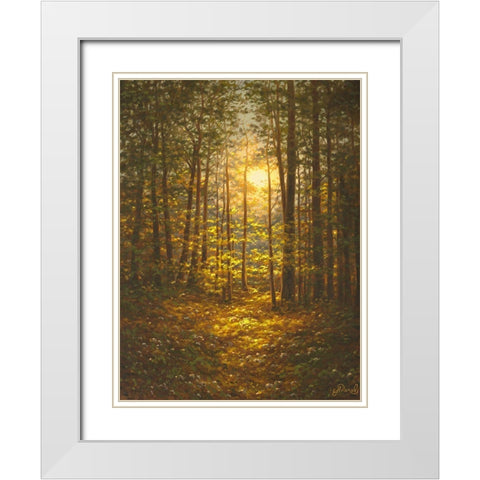 Sunbeams through the Forest White Modern Wood Framed Art Print with Double Matting by Adamov, Alexey