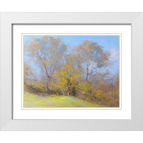 Sunny Autumn Day White Modern Wood Framed Art Print with Double Matting by Chaney, Alan