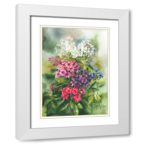 Phlox in the Garden White Modern Wood Framed Art Print with Double Matting by Besedina, Anastasiia